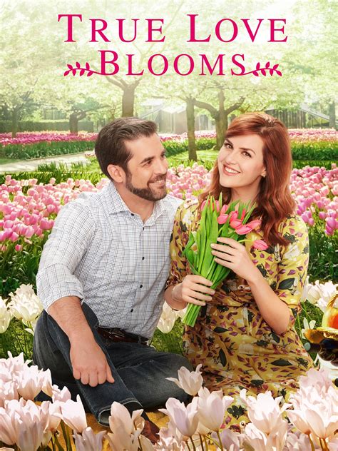 True Love Blooms 2019 Rotten Tomatoes