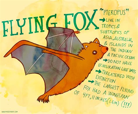 My Zoetrope 090 Flying Fox