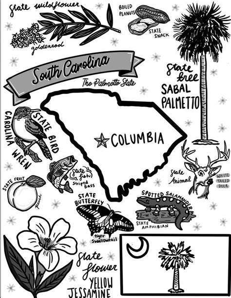 South Carolina Coloring Page Etsy