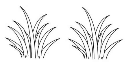 gambar  gambar hitam putih rumput siap diwarnai