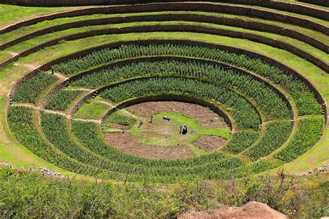 Agricultural Terraces Of Moray Sacred Valley Peru Photo Beto