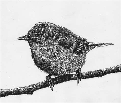 Scribble Drawing Of A Bird By Filip Walczak Scribbled Bird Animal