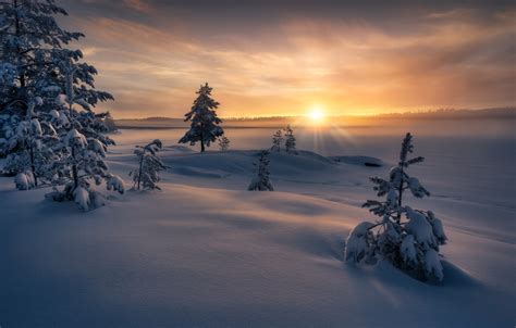 Wallpaper Winter Rays Snow Trees Sunset Nature Norway Norway
