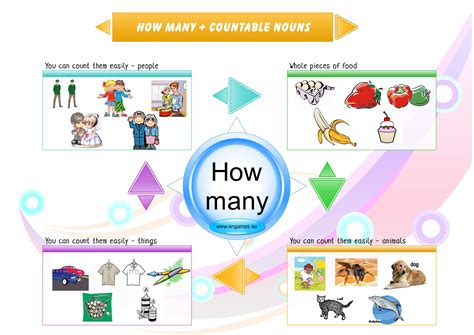 How much or How many? | English teaching materials, Learn english ...