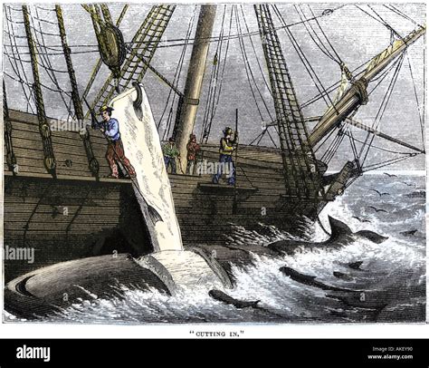 Sailor Ship 1800s High Resolution Stock Photography And Images Alamy