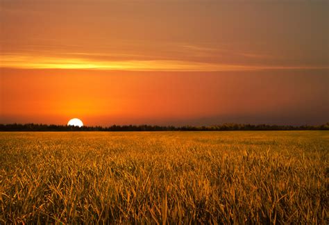 Golden Field Sunset Stock By Leeorr Stock On Deviantart