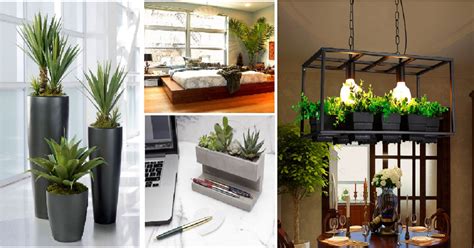 Indoor garden plant corner ideas. Most Beautiful Artificial Indoor Plant Ideas That You Will ...