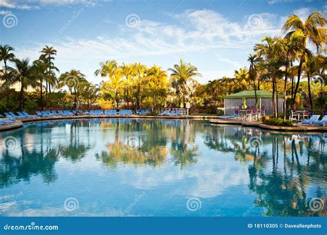 Caribbean Paradise Pool Luxury Tropical Resort Stock Image Image Of