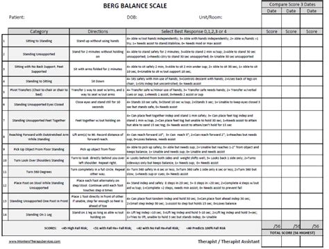 Berg Balance Test Printable