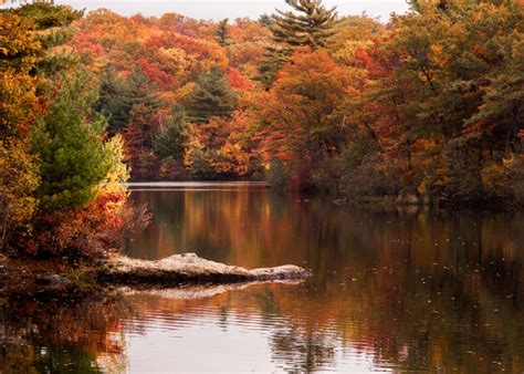 11 Amazing Massachusetts Lakes To Visit This Summer