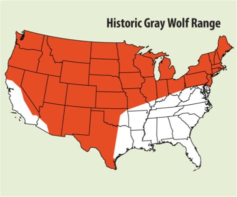 Where Do Wolves Live Map