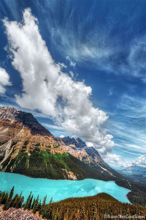 ~~wing Peyto Lake Banff National Park Alberta Canada By
