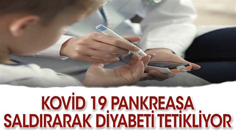 Prof Dr Aydın Kovid 19 pankreasa saldırarak diyabeti tetikliyor