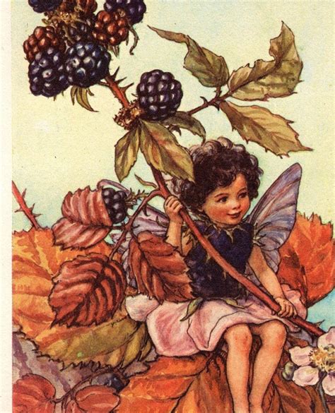 1960 Cicely Mary Barker Flower Fairies Of The Autumn The Blackberry