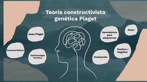 Teoría Constructivista Genética Piaget By Yazmin Rojas Contreras On Prezi