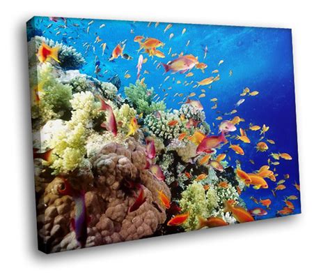 50 Bing Deep Sea Fishing Wallpaper On Wallpapersafari