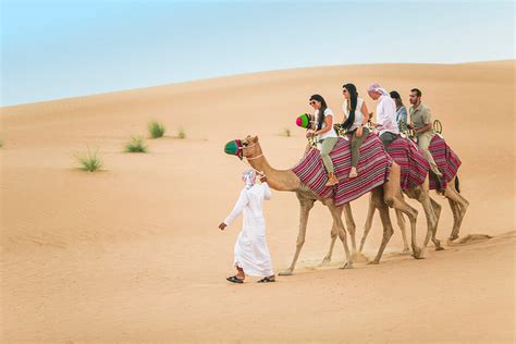 The Best Desert Safari Dubai Earth Pixz