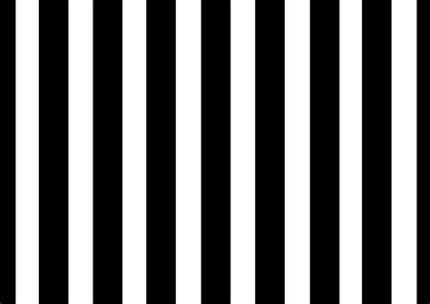 48 Black And White Stripes Wallpaper