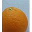 Photos Of Oranges  Richard North