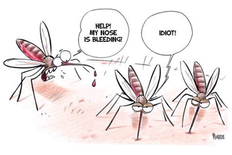 Funny Mosquito Mosquito Bar Cartoon Mosquito Itchy Mosquito Bites