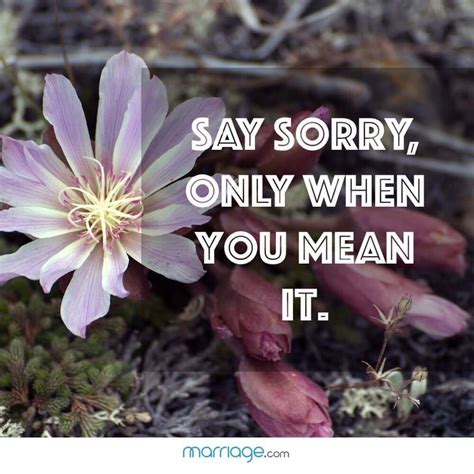 Albums 93 Pictures I Am Sorry Images With Quotes Full Hd 2k 4k