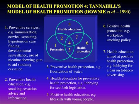 Health Promotion Examples Nursing Example Promotion