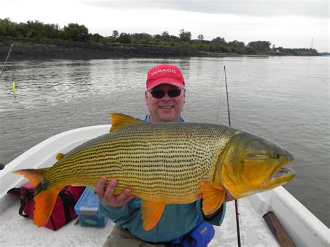 THE FISHING NEWS: La Zona discounted price/ golden dorado