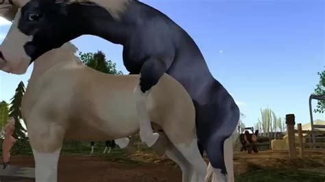 Horse Mating