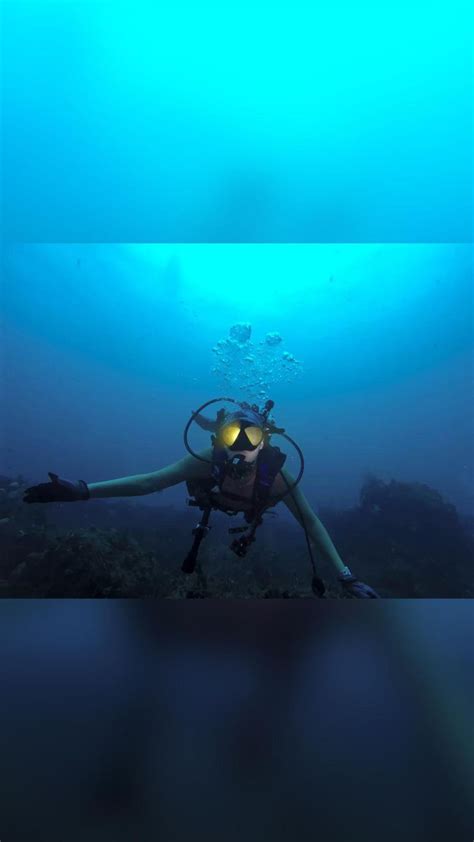 Scuba Diving Underwater Portraits In 2022 Scuba Diving Scuba Diving