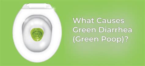 Green Diarrhea Green Poop Possible Causes Symptoms And Treatments