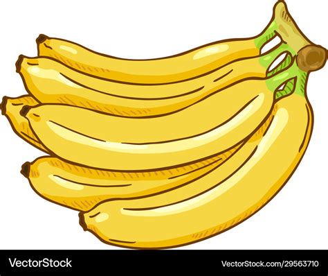 Cartoon Yellow Bunch Bananas Royalty Free Vector Image