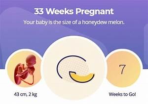 33 Week Of Pregnancy My Cute Pregnancy