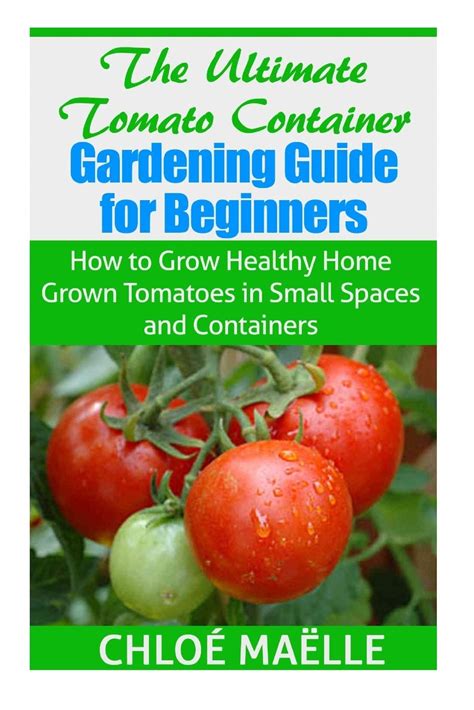 The Ultimate Tomato Container Gardening Guide For Beginners How To Grow