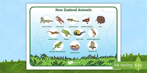 New Zealand Animals Word Mat Creat De Profesori Twinkl
