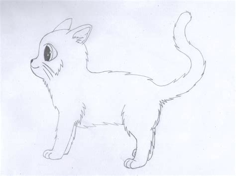 Cat Draw Side By Ifritkajitora On Deviantart