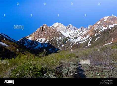 The Trail Up Through Mcgee Creek Canyon In The Eastern Sierra Nevada