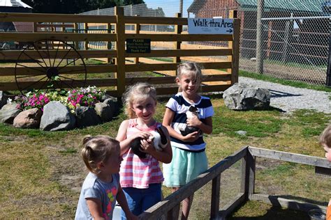 Dutch Creek Farm Animal Park Visit Shipshewana