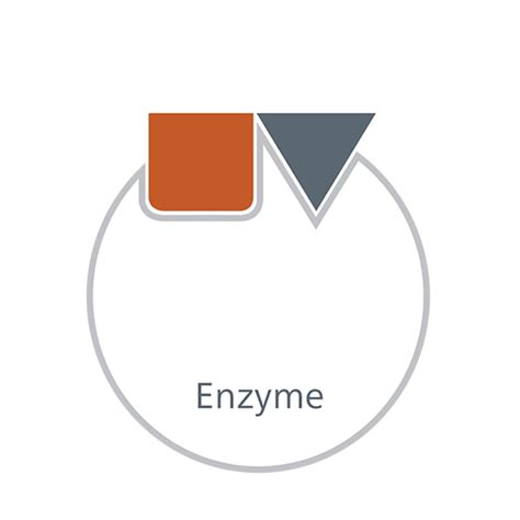 Enzyme Management Solutions Alltech Feed Efficiency
