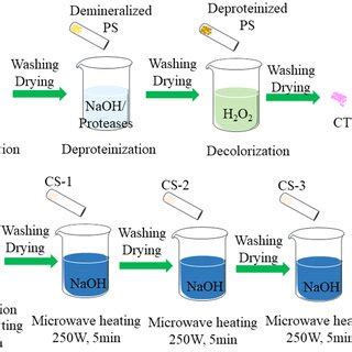 Scanning Electron Microscopy Images Of Chitosan Obtained By Microwave