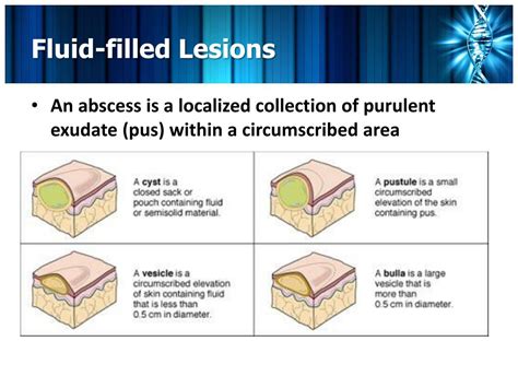 Ppt Pathology And Treatments Of The Skin Powerpoint Presentation Free