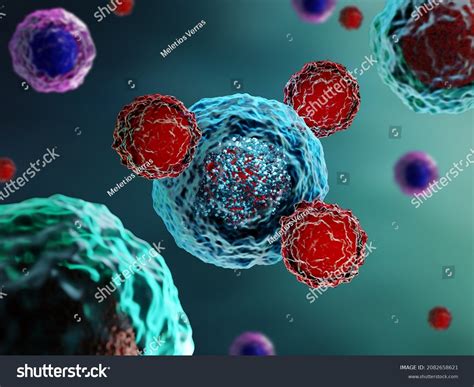 3d Illustration T Cells Attacking Cancer Stock Illustration 2082658621