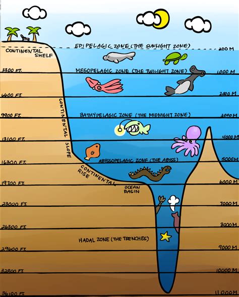 Layers Of The Ocean Reference By Thebrittanylee Layers Of The Ocean Ocean Science Ocean Projects