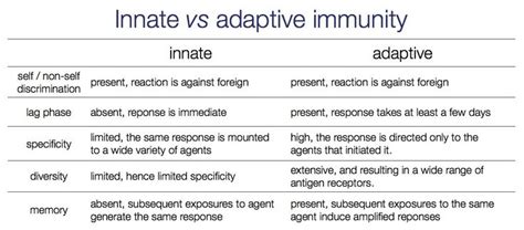 A., pougach k., tikhonov a. Innate vs adaptive immunity. | MCAT | Pinterest | Search ...