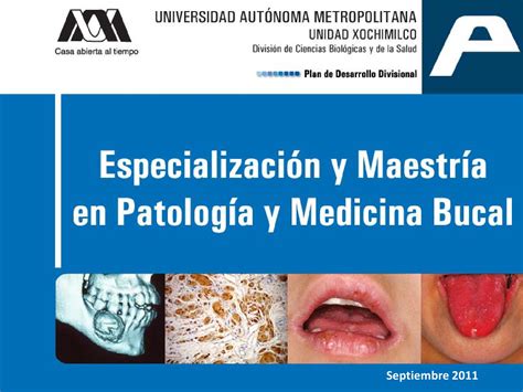 especialización y maestría en patología y medicina bucal by abel muñoz campos issuu