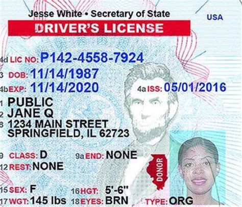 Illegit Abe Lincoln Detected On Fake Illinois Drivers License Tinley