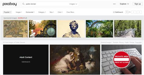 10 Best Public Domain Image Websites 2023