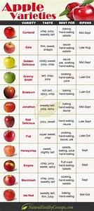 Click To View A Fun Infographic Featuring 12 Types Of Apples As Well As