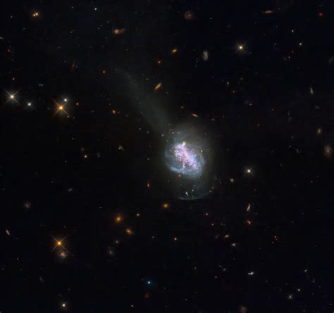 Hubble Spots Luminous Blue Compact Galaxy Scinews