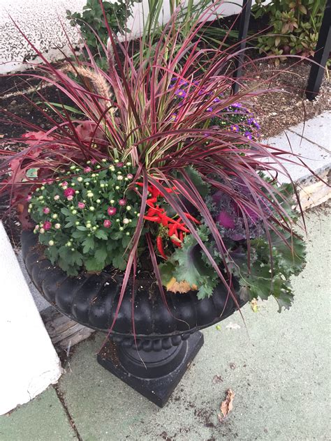 Accept the fact that it's fiction. Pin by RuthAnn Richards on Garden of Love | Different ...