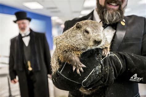groundhog day 2018 punxsutawney phil facts and frequently asked questions